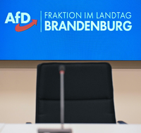 AfD in Brandenburg
