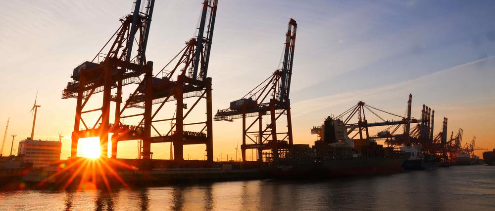 Containerbrücken im Hamburger Hafen: Vor allem Exporte und Investitionen stützten die deutsche Wirtschaft im ersten Quartal 2023.
