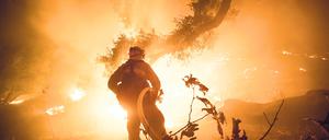 Ein Buschfeuer in Kalifornien hat sich bereits auf eine Fläche von 900 Hektar  ausgebreitet. (Archivfoto)