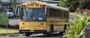 Der 13-jährige Dillon Reeves stoppte in Warren im US-Bundesstaat Michigan einen Schulbus nach einem medizinischen Notfall der Fahrerin.