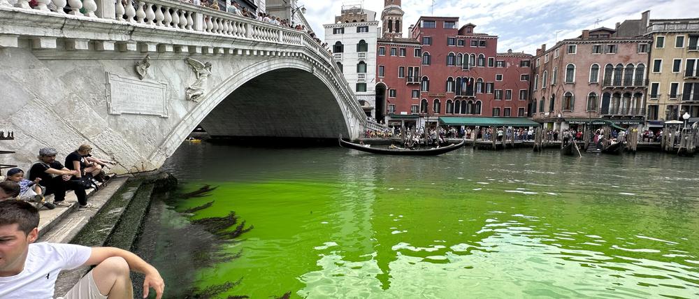 Eine grün schimmernde Flüssigkeit im berühmten Canal Grande von Venedig hat Aufregung in der Lagunenstadt ausgelöst.