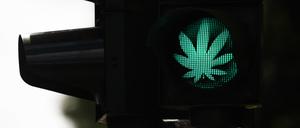 Ein Cannabis-Blatt leuchtet während der Grünphase an einer Ampel in Aachen. 