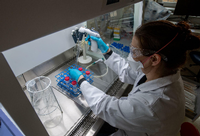 Untersuchungen zum Coronavirus in einem Labor. Foto: dpa/Hendrik Schmidt
