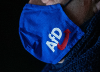 Eine Maske mit dem Logo der AfD Foto: Christophe Gateau/ZB/dpa