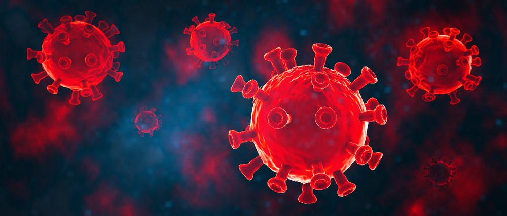 Bislang fehlen eindeutige Belege dafür, das Sars-Cov-2 das Immunsystem nachhaltig schwächt.