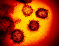 Coronavirus in den USA