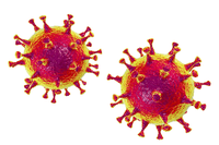 Illustration von zwei Mers-Coronaviren. Das neue Coronavirus hat inzwischen mehr Menschen infiziert als Sars. Quelle: Imago/Science Photo Library