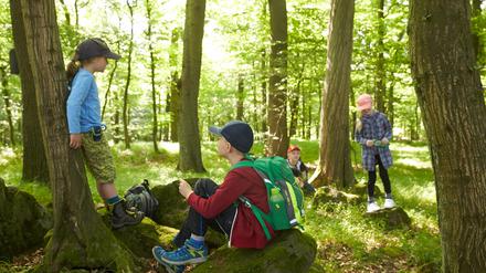 Kinder der Klasse zwei der Ahrbach-Grundschule in Niederahr erkunden den Wald. 