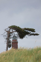 Auch bei starkem Wind macht der Leuchtturm von Darß eine gute Figur. Foto: Nadja Bossmann