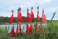 Rote Fischer-Flaggen vor der Ostsee stellen einen schönen farblichen Kontrast dar. Foto: Nadja Bossmann