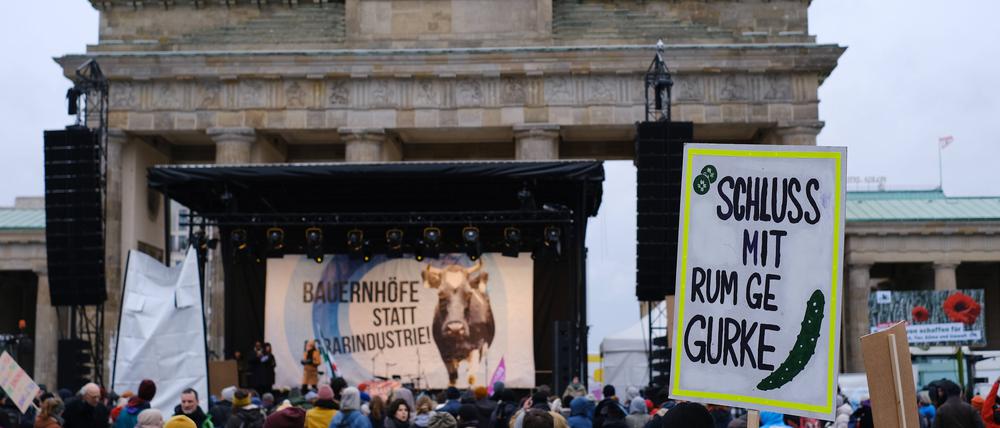 In den vergangenen Jahren versammelten sich bei der „Wir haben es satt“-Demonstration in Berlin jeweils Tausende Menschen. 