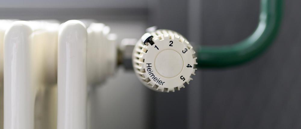 Der Thermostat einer Heizung mit Heizkörper. (Symbolbild)