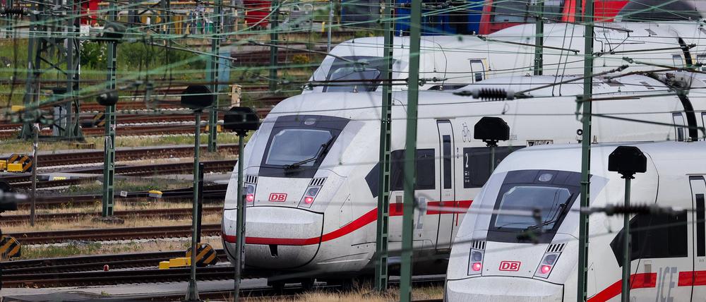 ICE-Züge der Deutschen Bahn (DB) stehen auf den Gleisen im Betriebshof Stellingen. Ginge es nach der FDP, bekäme die Deutsche Bahn Konkurrenz auf den Schienen. 