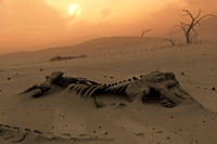 Wüstes Ende. Die Dinosaurier wurden vermutlich durch einen riesigen Asteroiden ausgelöscht. Foto: SciencePhotoLibrary