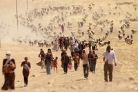 Jesiden fliehen im Jahr 2014 vor den Kämpfern der Terrormiliz "Islamischer Staat". Foto: REUTERS