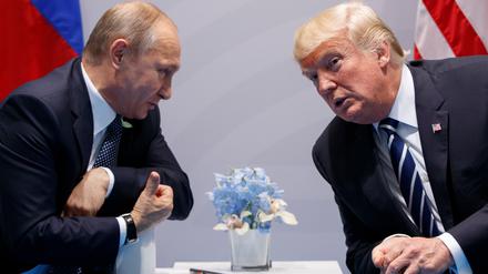 Beim G20-Gipfel in Hamburg 2017: Wladimir Putin (l.), Präsident von Russland, und Donald Trump, Präsident der USA.