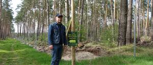 Thorsten Walter vom „Green Forest Fund“ pflanzt Bäume in Brandenburg. 