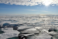 Hotspot Arktis: Auf dem Arktischen Ozean am Nordpol schwimmen Eisplatten. Foto: Ulf Mauder/dpa