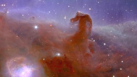 Pferdekopf im Sternentstehungsgebiet des Orion.