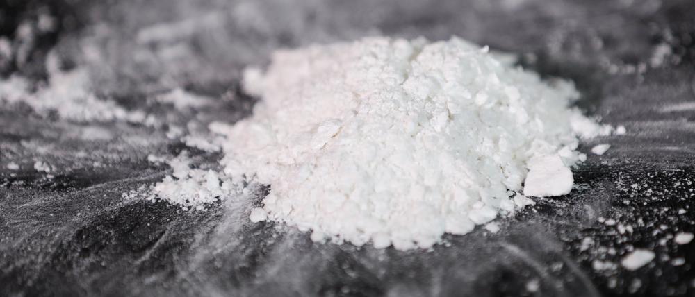 Die Beamten entdeckten in einem Container mit Tiefkühlfisch aus Südamerika die Riesenmenge von 7,2 Tonnen Kokain.