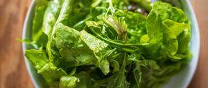 Info: Grüner Gartensalat mit grünem Eichblatt, rotem Kopfsalat, Rucola und Asiasalat der Domäne Dahlem, fotografiert am 10.5.23