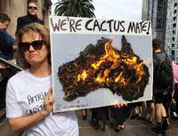 Proteste für mehr Klimaschutz in Australien (Archivbild von 2019) Foto: Reuters/Melanie Burton