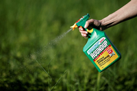 Umstrittenes Unkrautvernichtungsmittel: Roundup von Monsanto enthält den Wirkstoff Glyphosat. Das Mittel ist in der EU noch jahrelang zugelassen. Foto: Tessier/Reuter