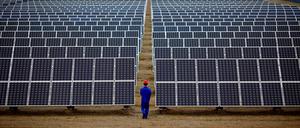 Sonnenfarm in China. Auch der deutsche Markt wird mit Solartechnik 
aus der Volksrepublik geflutet.