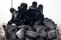 Gerade in den östlichen Provinzen Indiens hängen unzählige Jobs an der Kohleindustrie. Foto: Reuters