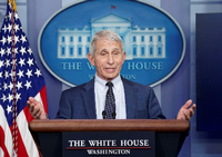Anthony Fauci bei einer Pressekonferenz im Weißen Haus in Washington. Foto: REUTERS/Kevin Lamarque