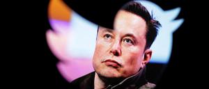 Elon Musk ist vor dem Twitter-Logo zu sehen.