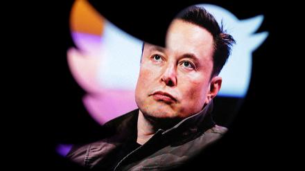 Elon Musk will das einstige Twitter zu einem Ort der maximalen Meinungsfreiheit umgestalten.