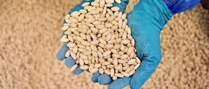 Ein Mitarbeiter hält und kontrolliert Tabletten in einem Labor des französischen Pharmaunternehmens Servier in Gidy.
