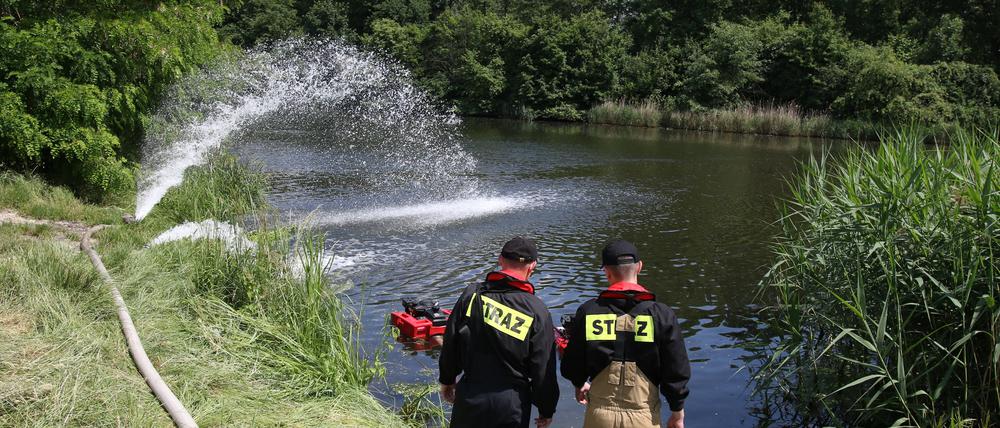 Feuerwehrleute pumpen Sauerstoff in den Gleiwitzer Kanal, um das Algenwachstum zu verhindern.+