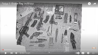 Diese Waffen gehörten Maximilian Pollux zum Zeitpunkt seiner Festnahme. Screenshot: Youtube