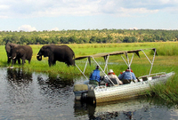 Der Tourismus, vor allem die teuren Safaris wie hier im Chobe-Nationalpark, ist eine der wichtigen Einnahmequellen. Foto: REUTERS
