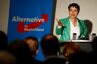 Aussichtsreicher Direktwahlkreis in Sachsen gesucht: Frauke Petry, Bundesvorsitzende der AfD Foto: Axel Schmidt/Reuters