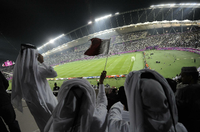 Kein Gras aus Holland für Katar
