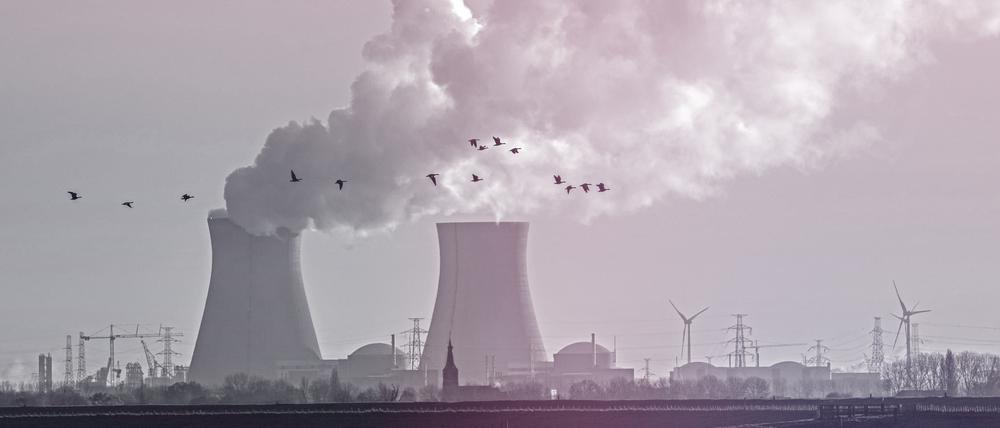 Außerhalb von Deutschland, zum Beispiel hier in Belgien, produzieren Atomkraftwerke noch Strom.