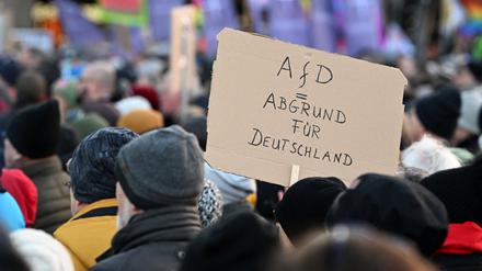 Protest gegen die AfD in Hamburg.