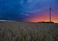 In Brandenburg leuchtet der Sonnenuntergang hinter einer Gewitterzelle mit dunklen Regenwolken. Foto: Patrick Pleul/dpa +a