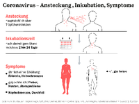 Grafik - Coronavirus: Ansteckung, Inkubation und Symptome Grafik: Tagesspiegel/Böttcher, Cremer