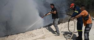 Feuerwehrleute und Freiwillige bekämpfen am 24. August einen Waldbrand im Dadia-Wald.