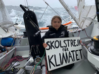 Mit Show hat das wenig zu tun. Greta Thunberg postet ein Protestbild von ihrer Atlantikreise. Foto: Facebook/privat