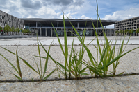 Ende Juli 2020: Eine Baustelle auf der Zufahrt zum Terminal des Hauptstadtflughafens Berlin Brandenburg (BER). Foto: Patrick Pleul/dpa