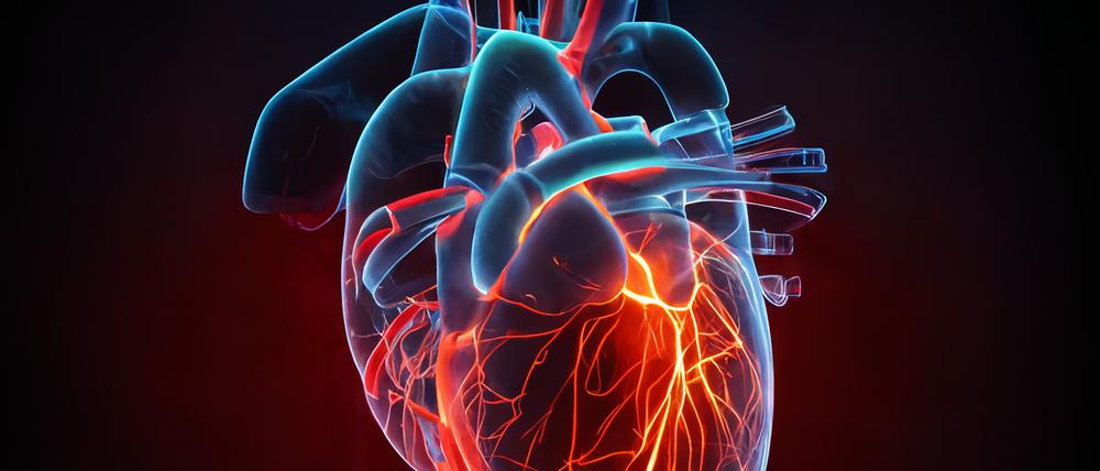 Im Herzen können durch die Infektion in kleinen Arterien, die das Organ mit Blut versorgen, Entzündungen auftreten. Auch bei mild verlaufenden Infektionen kann das Herz betroffen sein.