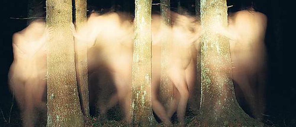 Unter Bäumen. Bild ohne Titel aus Margot Wallards Serie „Natten“. 
