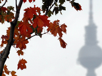Mal kein politisches Farbenspiel. Rote Blätter hängen an den Bäumen vor der Kuppel des Reichstagsgebäudes. Foto: Fabian Sommer/dpa