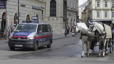 Ein Polizeiwagen fährt an einer Pferdekutsche am Stephansdom vorbei. (Archivfoto)