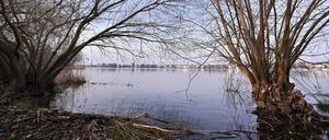 Hochwasser im Park Babelsberg. Die Havel hat stellenweise Wiesen geflutet.